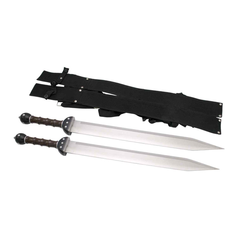 2 Gladius Swords - 2