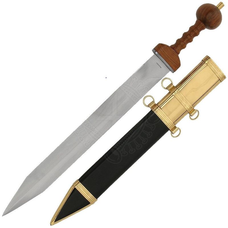 Gladius épée fonctionnelle - 5