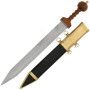 Functional Gladius Sword - 5