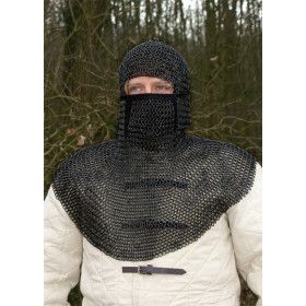 Verdugo mesh hood with protector