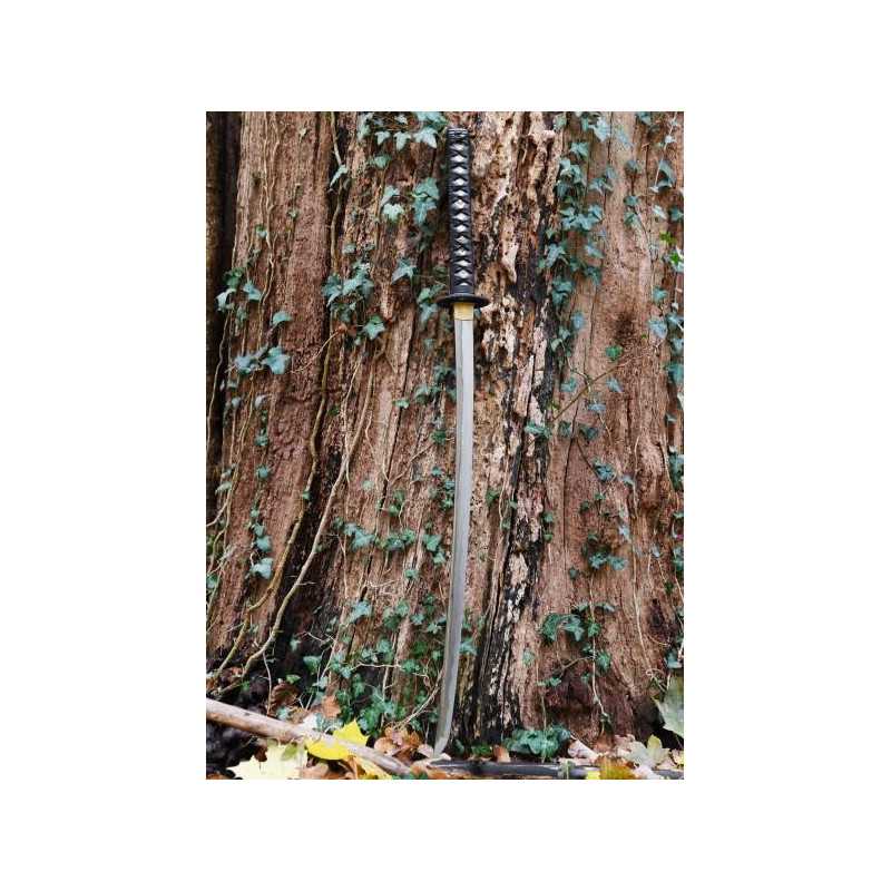 Katana Practice Plus Main features High carbon steel blade Fully...