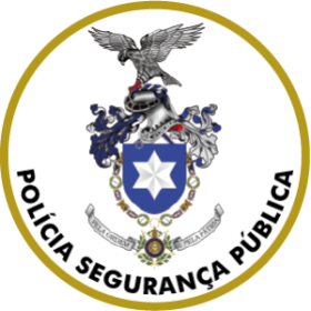 Public Security Police Pin