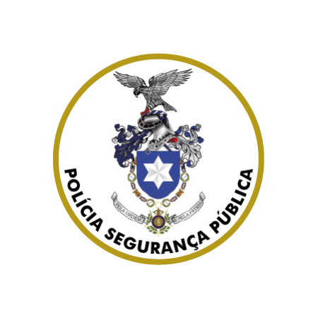 Public Security Police Pin