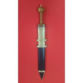 Functional Gladius Sword