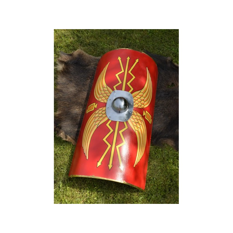 Roman Legionnaire Shield  - 2